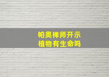 帕奥禅师开示 植物有生命吗